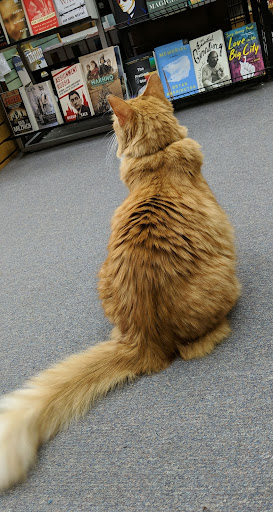 Book Store «The Book Bin», reviews and photos, 450 Court St NE, Salem, OR 97301, USA