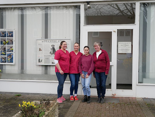 Kleintierpraxis im Steenkamp unter Lübeck, 