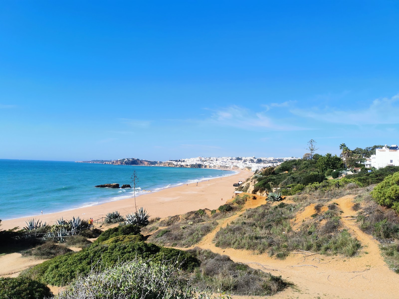 Praia de Albufeira photo #9