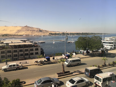 Cilantro Aswan