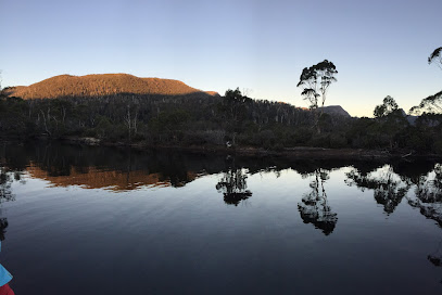 Narcissus Jetty