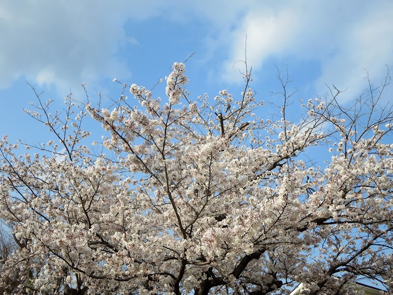 国分寺台第一児童公園