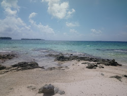 Foto von Lemon Island beach und seine wunderschöne Landschaft