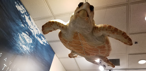 Wildlife Refuge «Ding Darling Wildlife Refuge», reviews and photos, 1 Wildlife Dr, Sanibel, FL 33957, USA