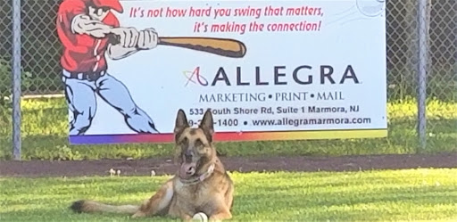 Marketing Consultant «Allegra Marketing Print Mail», reviews and photos, 533 S Shore Rd Suite 1, Marmora, NJ 08223, USA