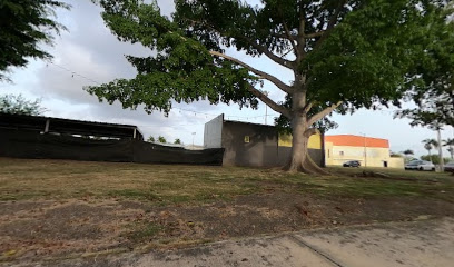Gimnasio Municipal de Toa Baja - CRQF+WQ9, Calle José de Diego, Levittown, Toa Baja 00949, Puerto Rico