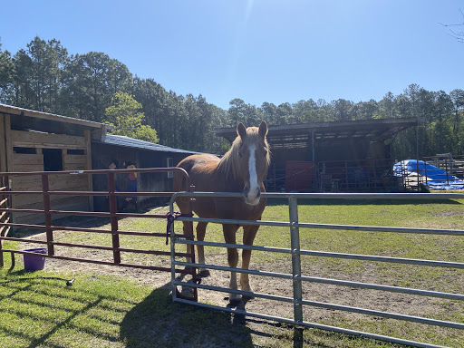 Hoof's 4 Healing Equestrian Services, Inc.