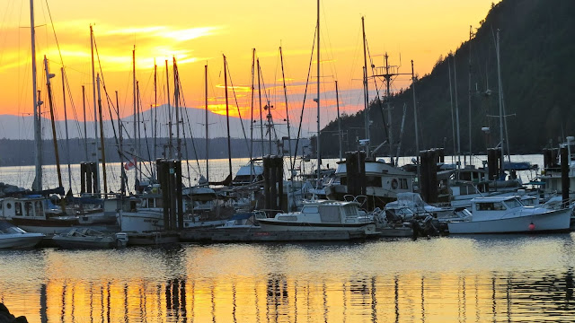 Ford Cove Harbour Authority