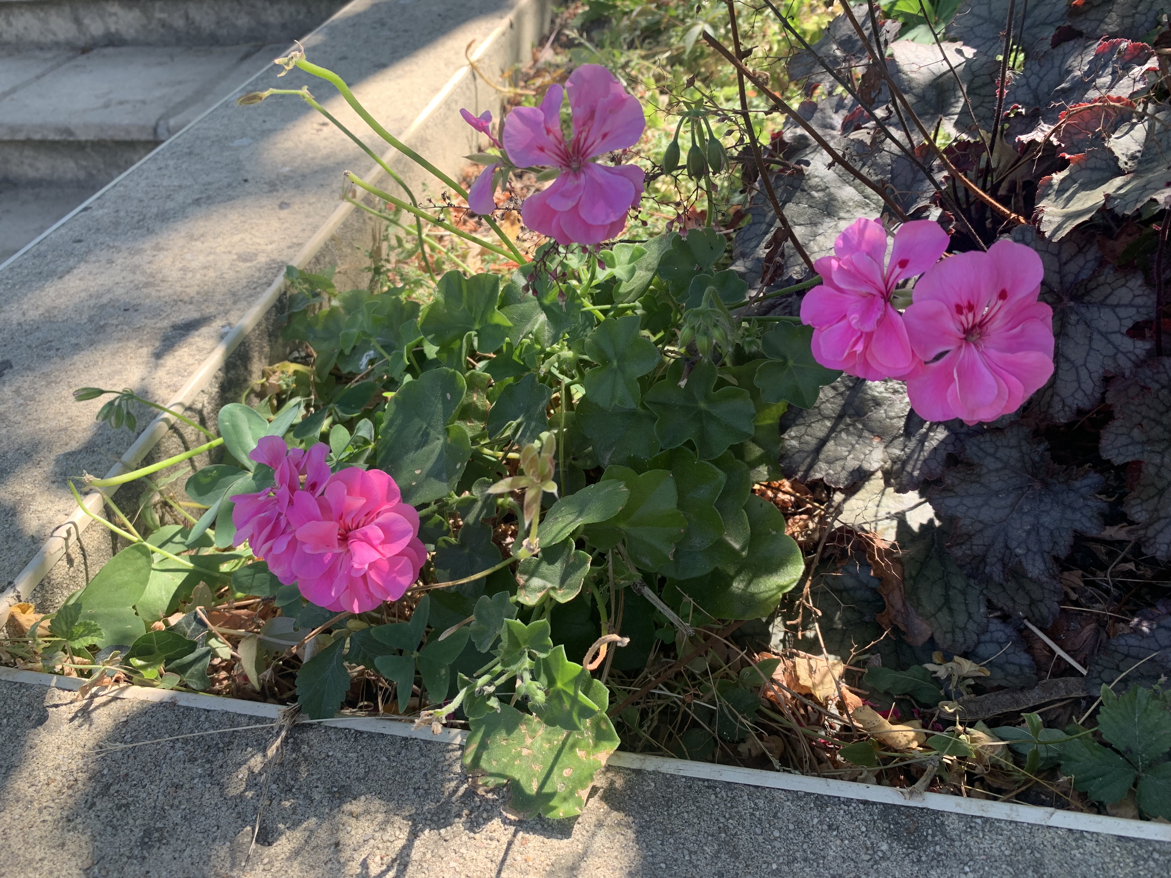 Photo n° 4 de l'avis de Bastien. fait le 09/08/2022 à 10:32