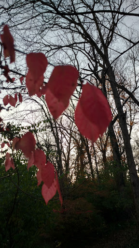 Park «Hounz Lane Park», reviews and photos, 2300 Hounz Ln, Louisville, KY 40223, USA