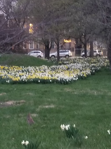Park «Garfield Park Conservatory», reviews and photos, 300 N Central Park Ave, Chicago, IL 60624, USA