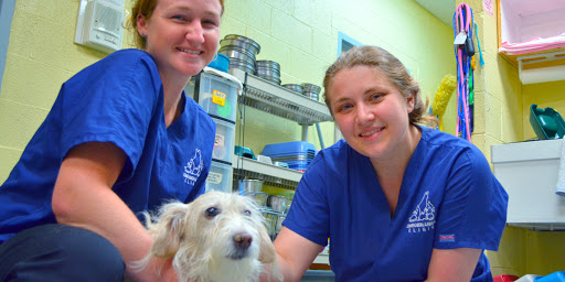 Companion Animal Clinic