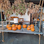 Photo n°6 de l'avis de Simone.l fait le 16/10/2023 à 15:04 sur le  Al Tezzon Hotel à Camposampiero