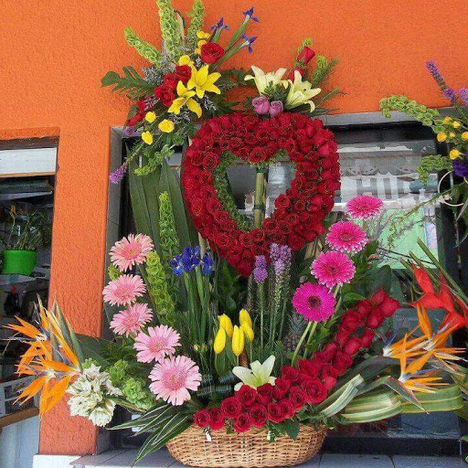 Floreria la Rosa de Guadalupe – Cabo San Lucas