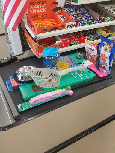 Dollar Store «Dollar Tree», reviews and photos, 14804 Olympic Dr, Clearlake, CA 95422, USA