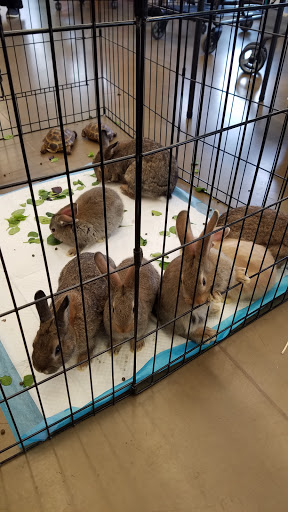 Pet Supply Store «Pet Supplies Plus», reviews and photos, 1030 Main St #10, Waltham, MA 02451, USA