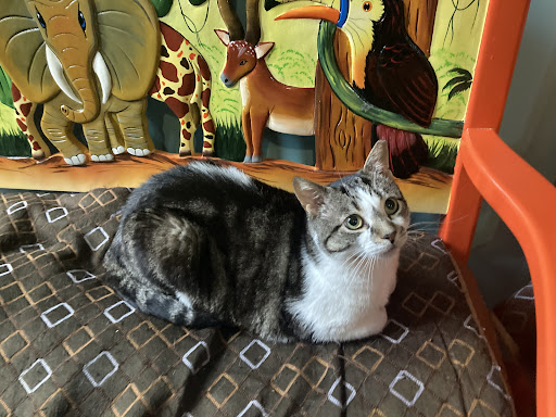 585 Warburton Ave, Hastings-On-Hudson, NY 10706, USA