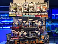 Aquatic Aesthetics - Car repair in Hixson, TN, Chattanooga - Rated 4.9/5