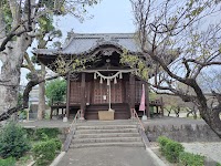 宮ノ陣神社の将軍梅