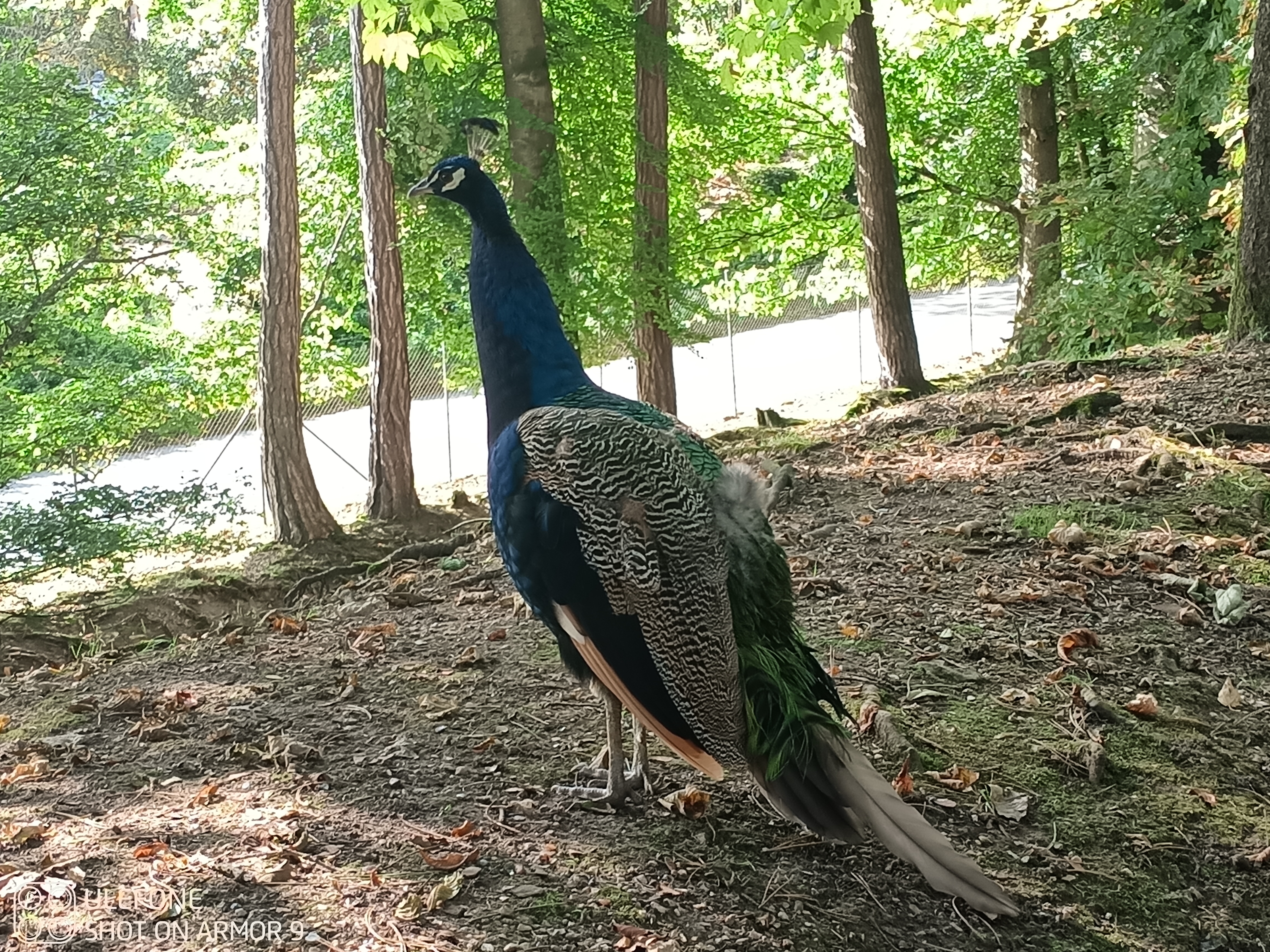 Photo n° 2 de l'avis de philippe.o fait le 02/10/2023 à 19:39