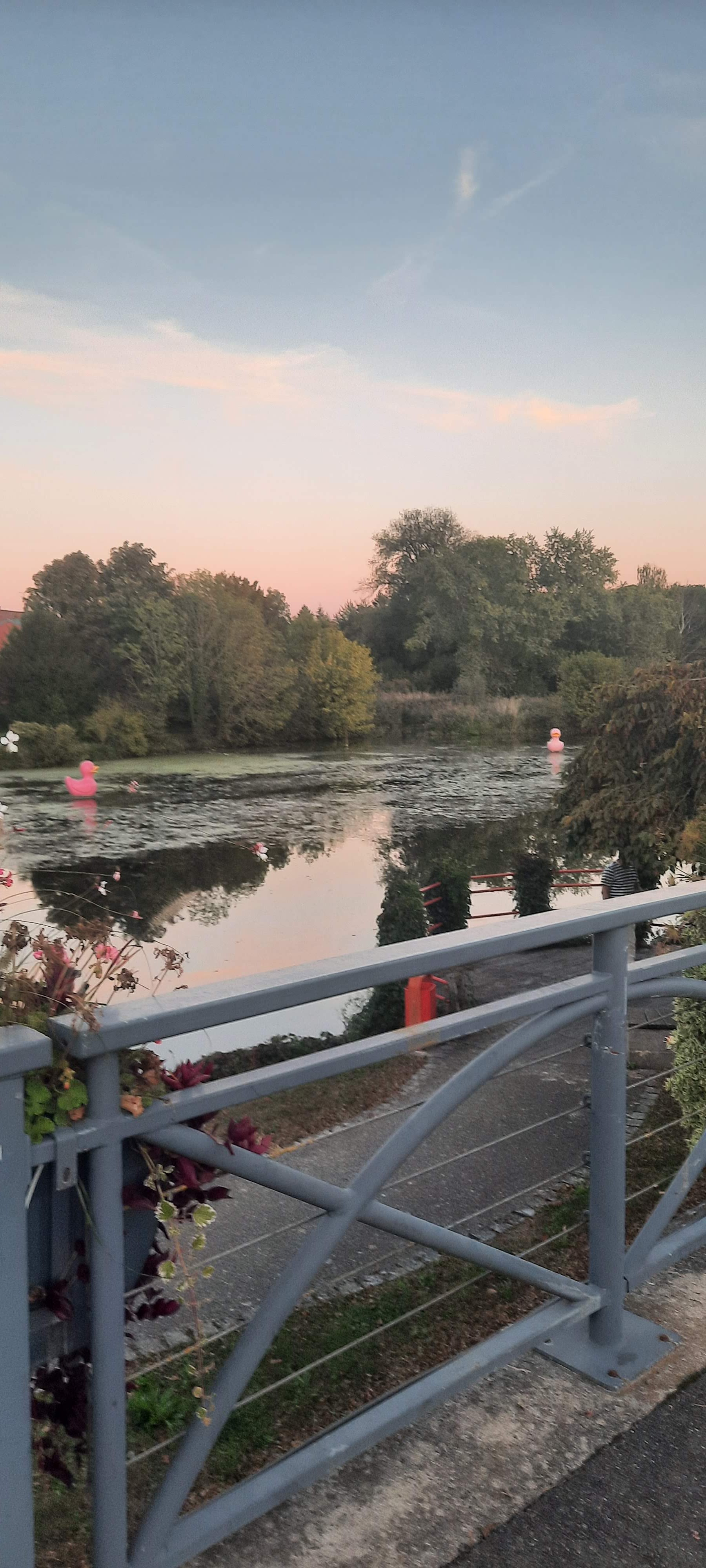 Photo n° 7 de l'avis de bernard.a fait le 30/09/2023 à 19:04