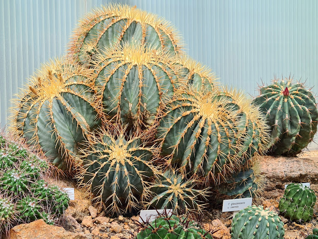 Botanická zahrada Liberec telefonní číslo