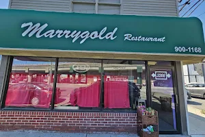 Marrygold image