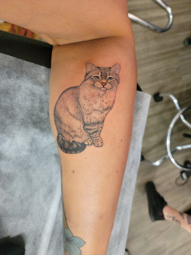 Tattoo Shop «Surreal Tattoo Studio - Kansas City Tattoo Shop», reviews and photos, 1222 W 39th St, Kansas City, MO 64111, USA