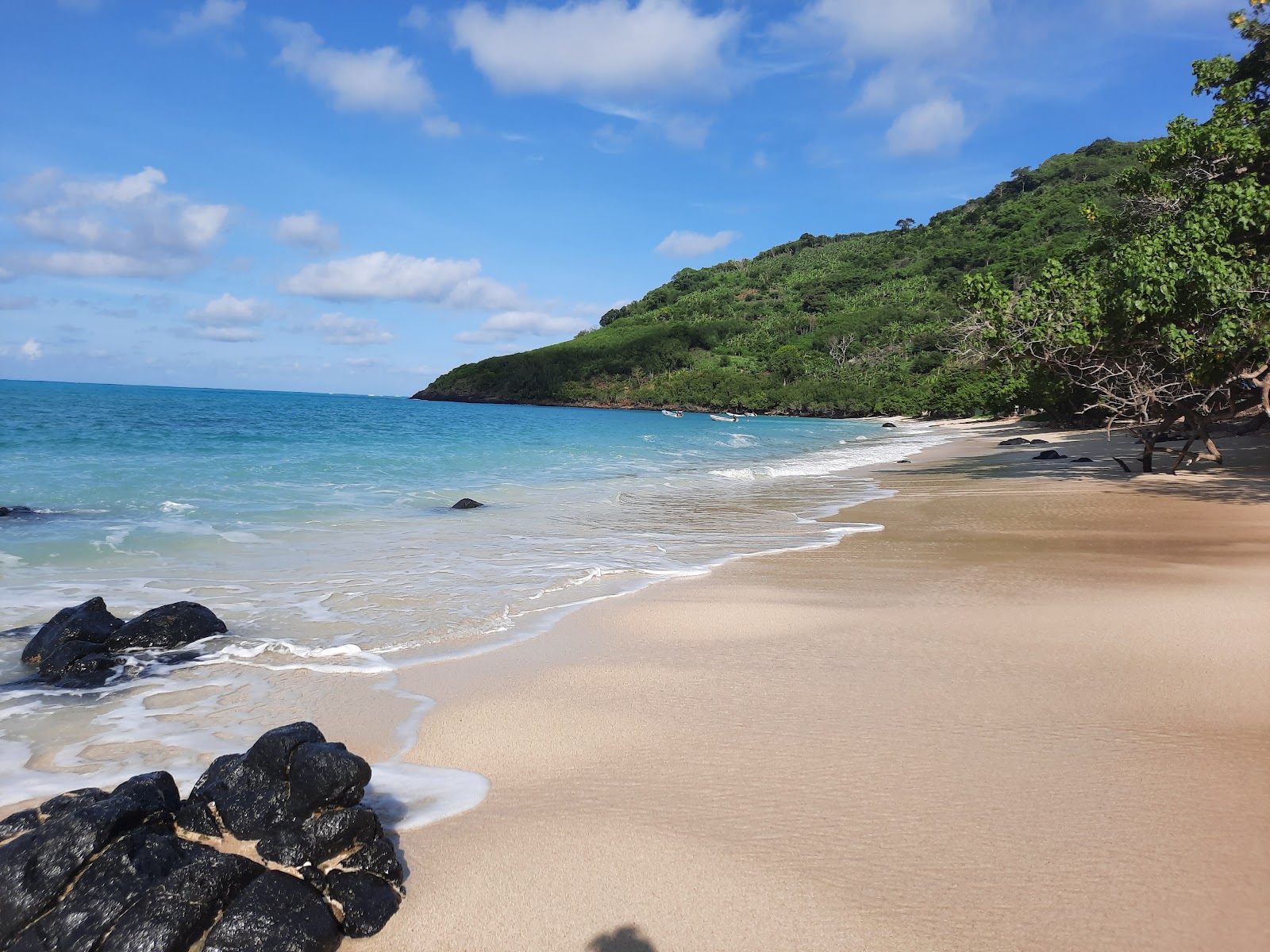 Foto di Mtsanga Safari Beach con una superficie del sabbia beige fine
