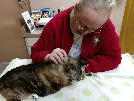 VCA All Caring Animal Hospital image