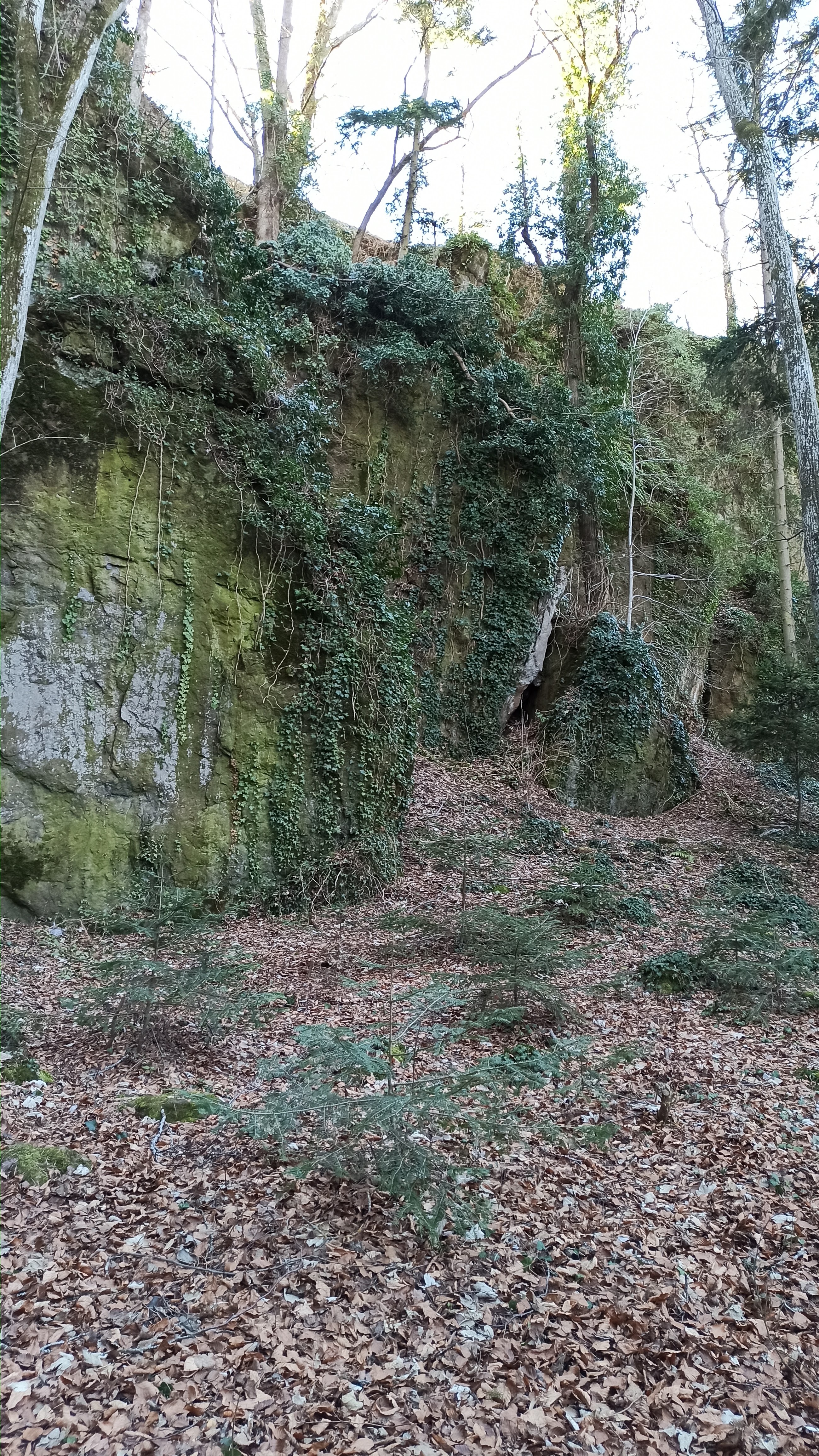 Photo n° 8 de l'avis de JM.A fait le 24/02/2020 à 05:53