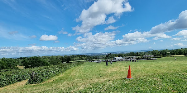 Lambert's 'Pick Your Own' Fruit Farm