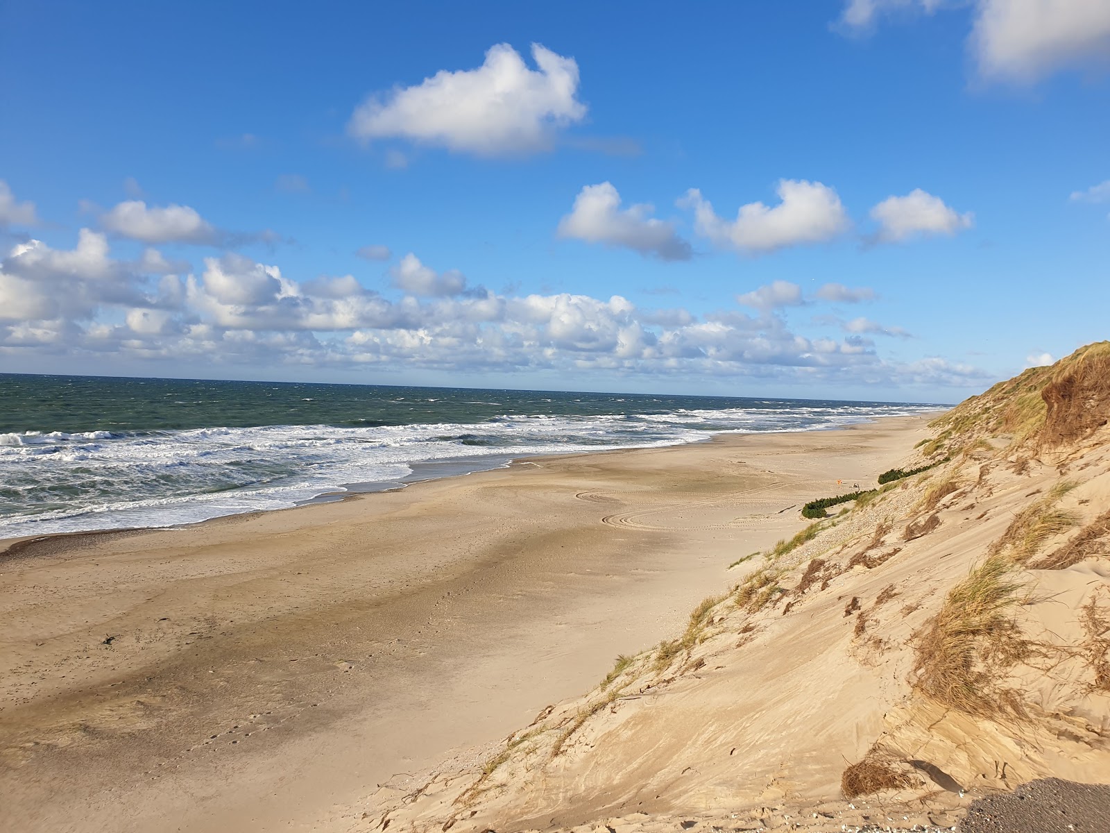 Fotografija Lyngby Beach z svetel pesek površino
