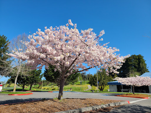 Community Center «Arcata Community Center», reviews and photos, 321 Dr M.L.K. Jr Pkwy, Arcata, CA 95521, USA