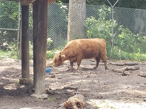 Zoo «Waccatee Zoological Farm», reviews and photos, 8500 Enterprise Rd, Myrtle Beach, SC 29588, USA