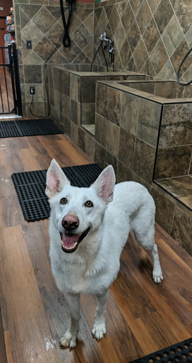 Pet Store «Pet Valu», reviews and photos, 95 Linwood Ave, Colchester, CT 06415, USA