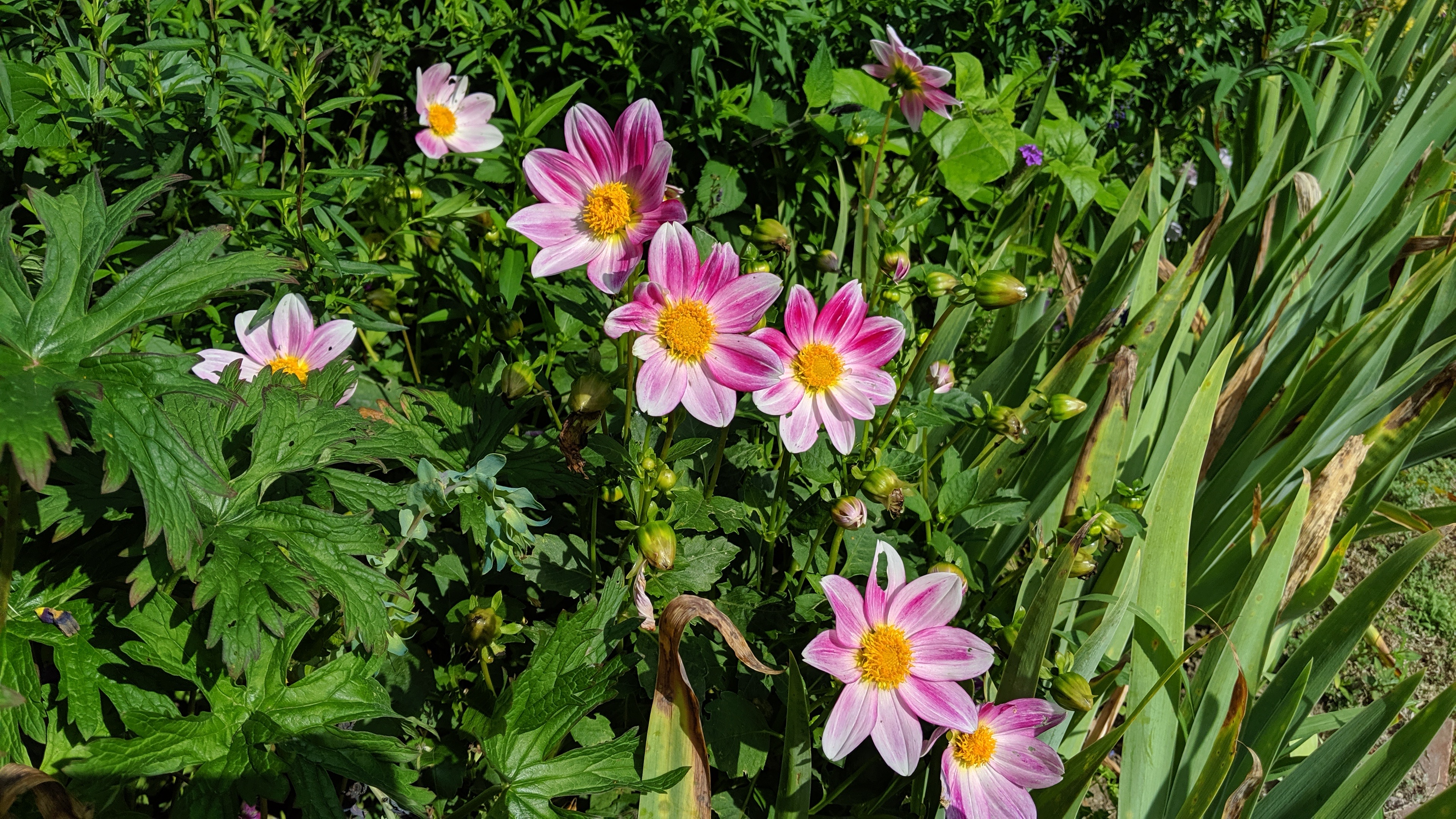 Photo n° 15 de l'avis de Tristan.a fait le 09/08/2021 à 16:22