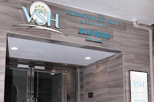 VSH (Veterinary Specialty Hospital) Hong Kong 專科獸醫醫院 image