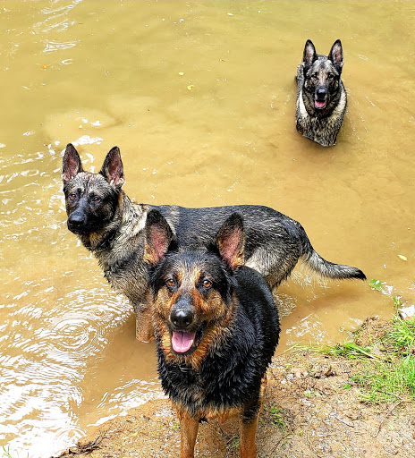 2715 Olney Sandy Spring Rd, Olney, MD 20832, USA