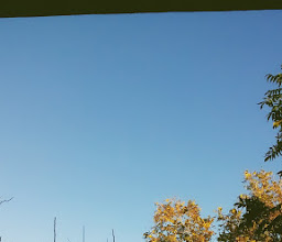 Quinta Santa Cecilia photo