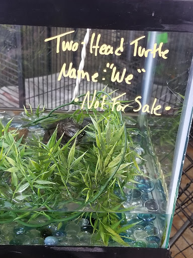 Pet Store «Wildside Pets», reviews and photos, 1042 N Higley Rd #105, Mesa, AZ 85205, USA