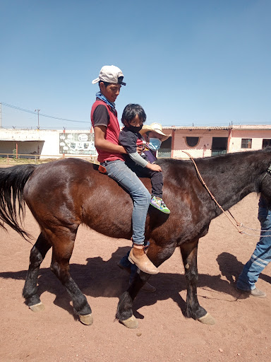 Centro Ecuestre Rancho el Crecido