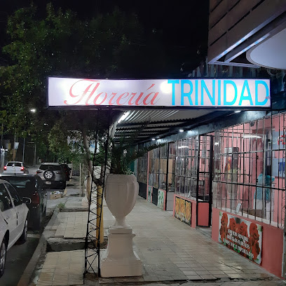 Floreria Trinidad