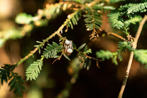 Jeweler «Ancona Jewelers», reviews and photos, 1570 W Lake St, Addison, IL 60101, USA