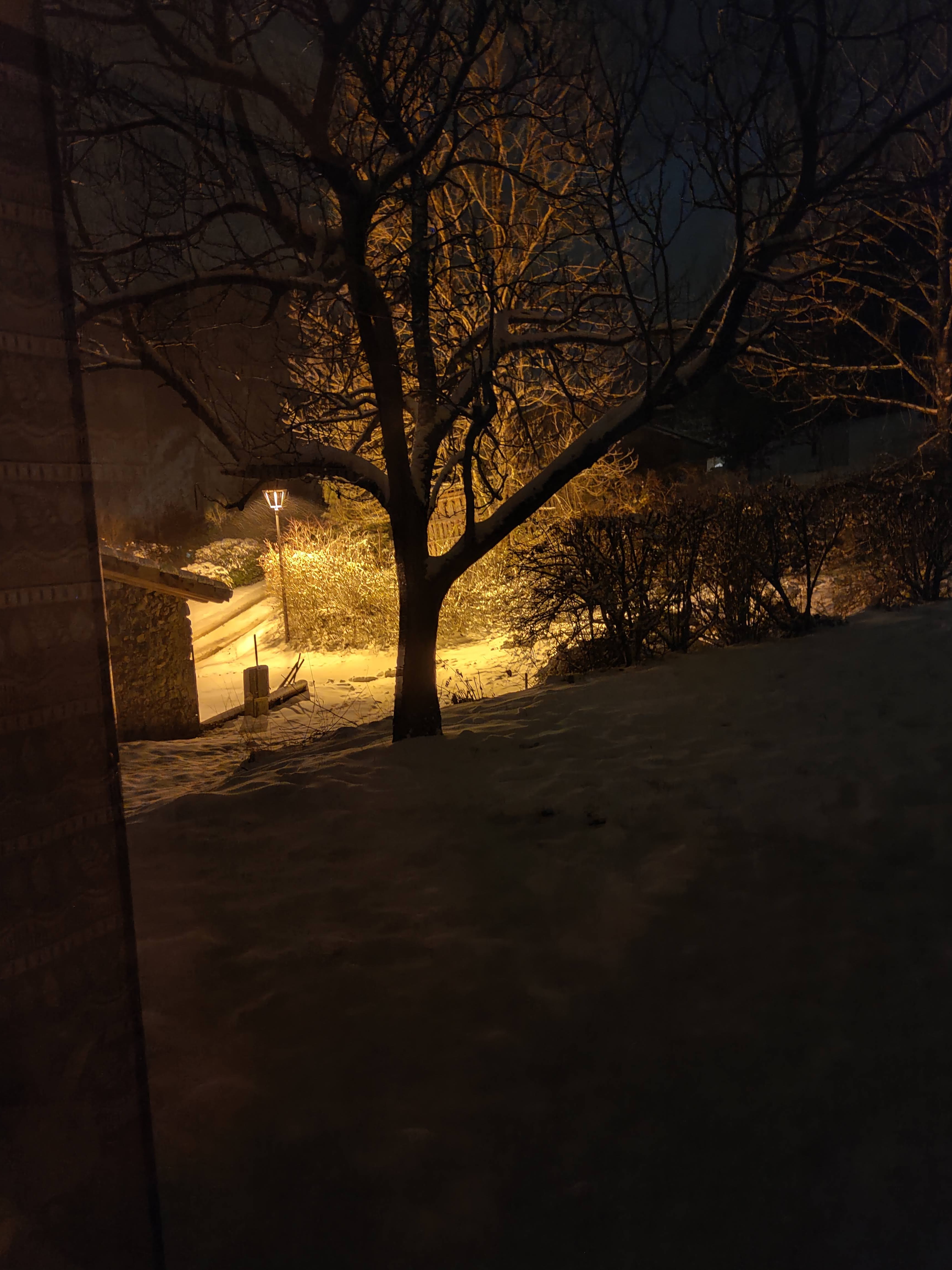 Photo n° 16 de l'avis de Aurélie.e fait le 26/12/2020 à 16:26