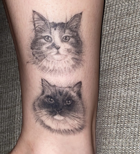 Explore mermaid tail tattoo ideas, creative tattoo ideas in Media, available at Byrd of Paradise Tattoos