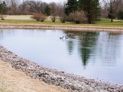 Golf Club «Bedford Hills Golf Club», reviews and photos, 6400 Jackman Rd, Temperance, MI 48182, USA