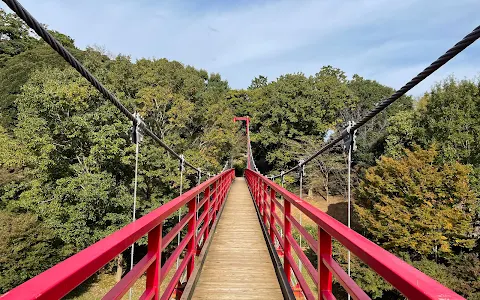 Hinuma Nature Park image