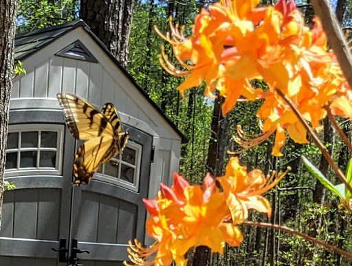 State Park «Panola Mountain State Park», reviews and photos, 2620 GA-155 N, Stockbridge, GA 30281, USA