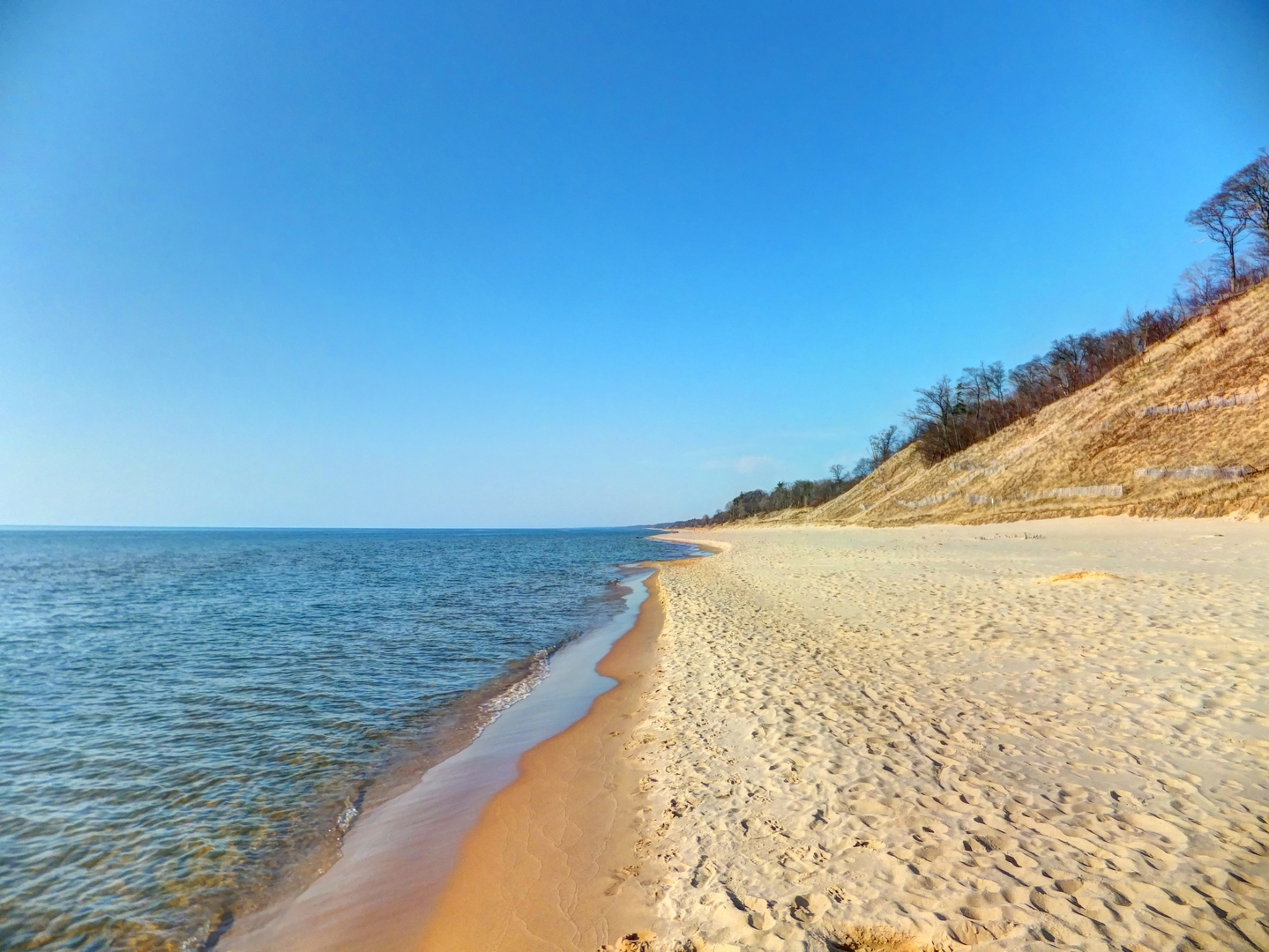 Fotografija Kirk Park z svetel fin pesek površino